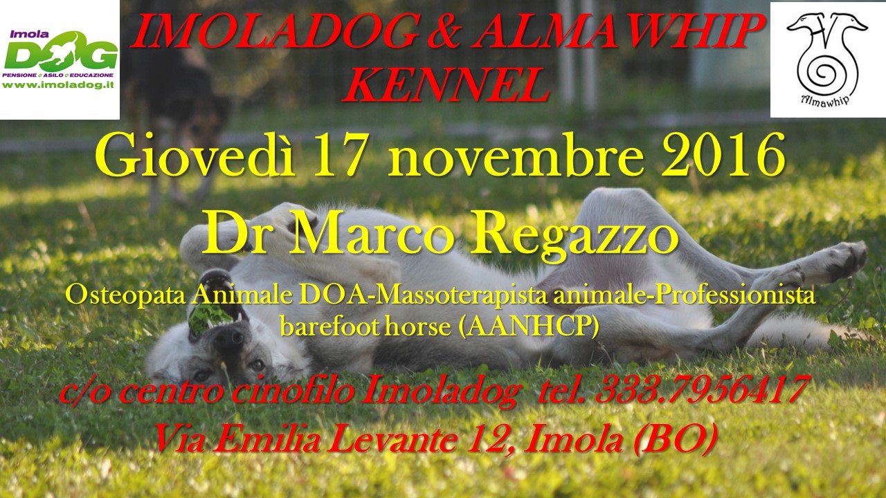 Giovedi 17 Novembre Osteopata per animali Marco Regazzo