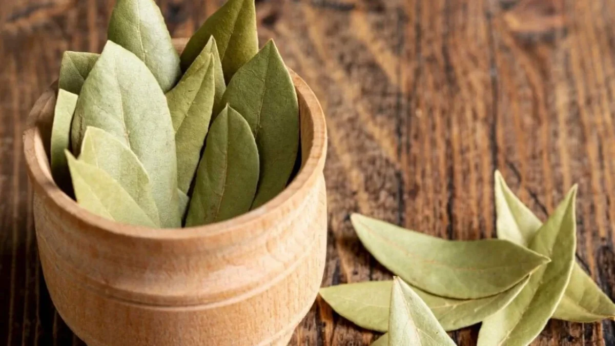 Miscelare le foglie di alloro con il detersivo: perché è consigliato e a cosa serve.