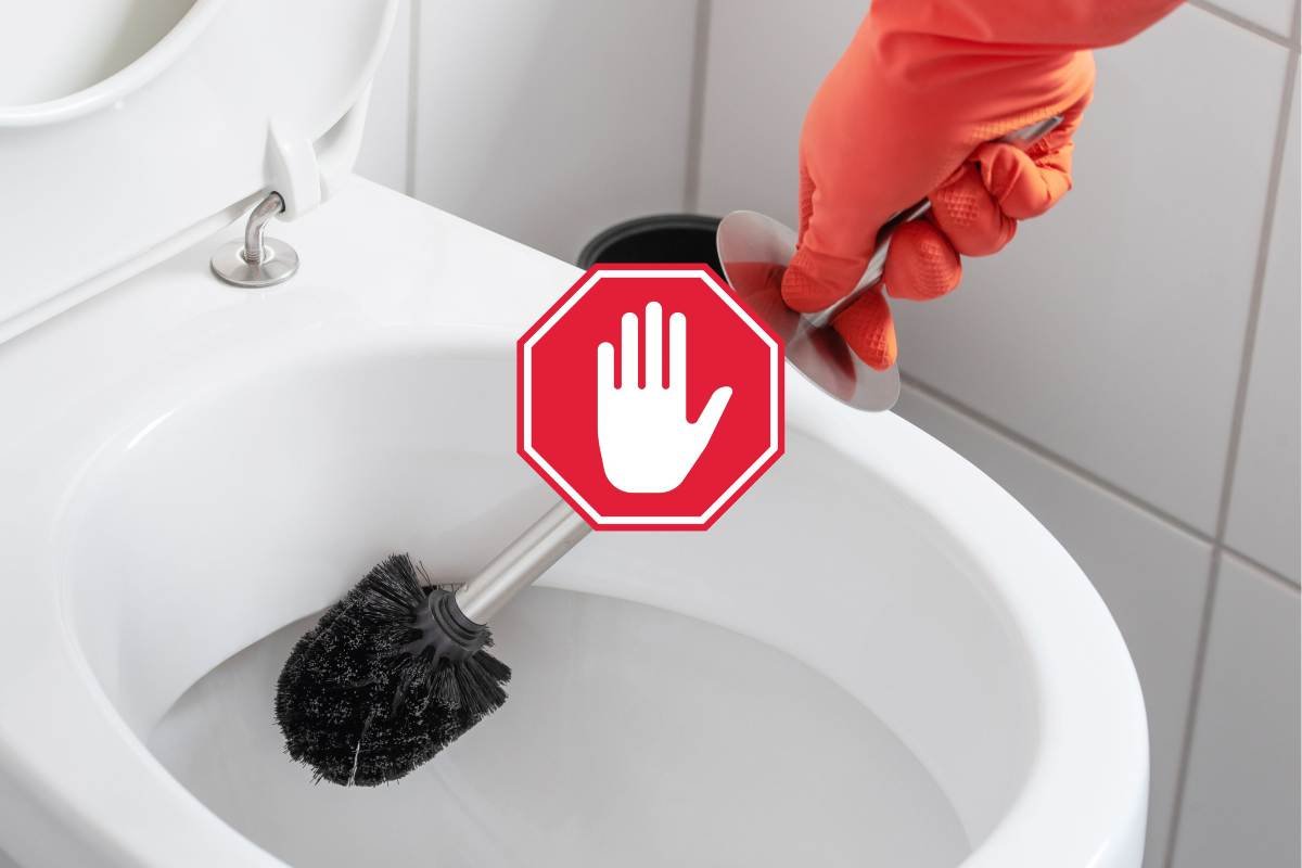 [Design moderno di un sistema igienico per la pulizia del WC]