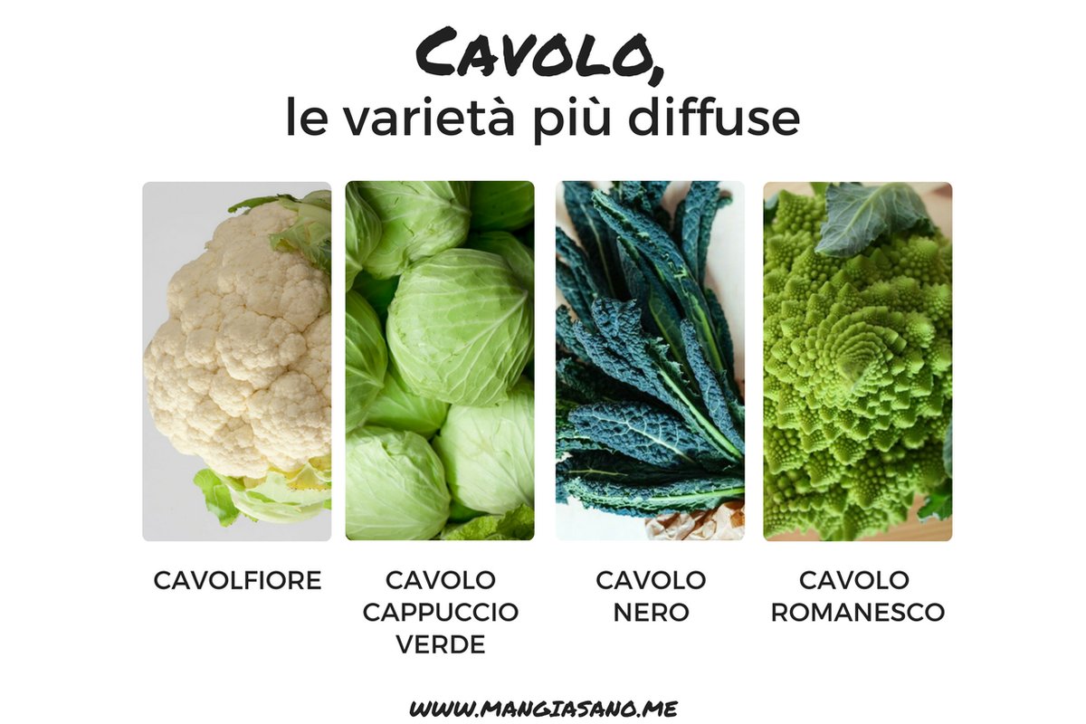 Persone anziane che osservano un piatto di cavolo verde su un tavolo.