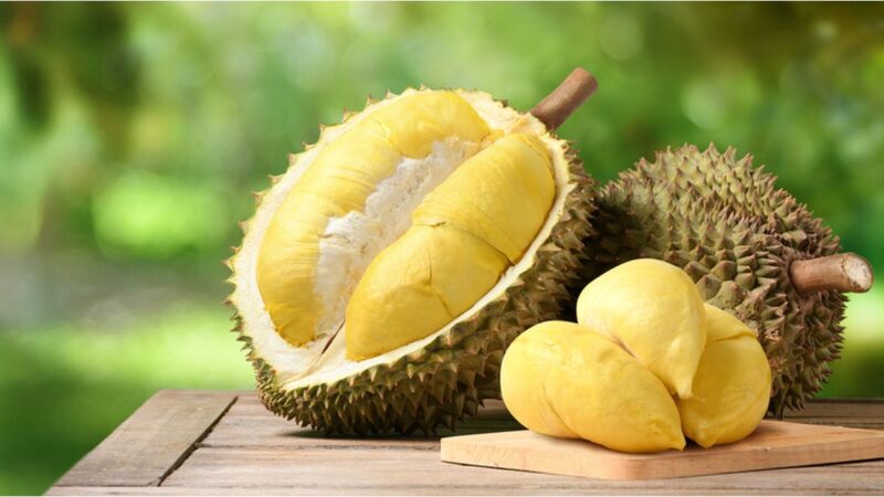 [Un uomo mangia durian all'aperto, circondato da alberi tropicali.]