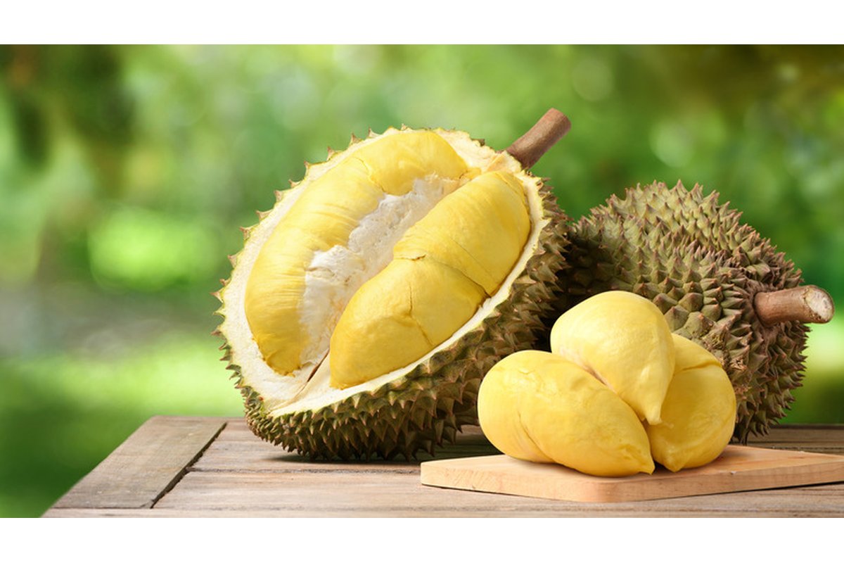 [Un uomo mangia durian all'aperto, circondato da alberi tropicali.]