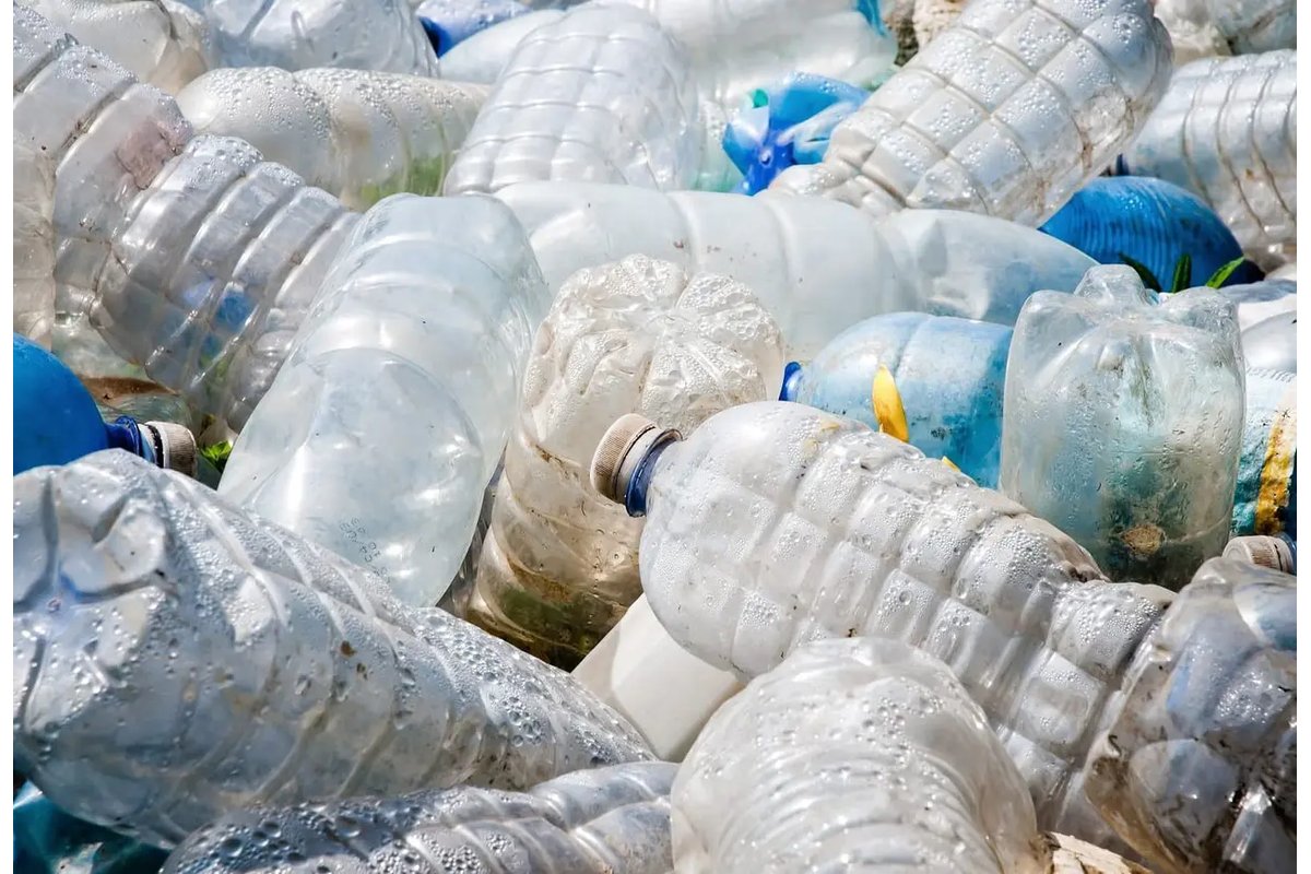 Contenitori di plastica con coperchi colorati su un tavolo.