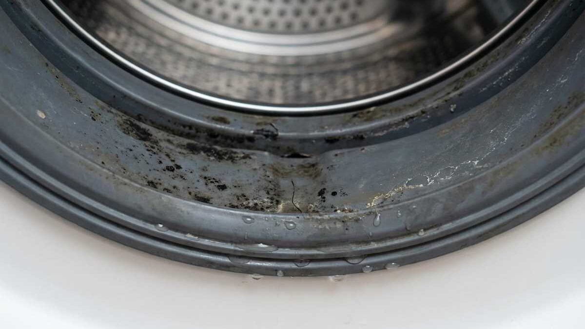 Primo piano di una guarnizione di una lavatrice con umidità visibile