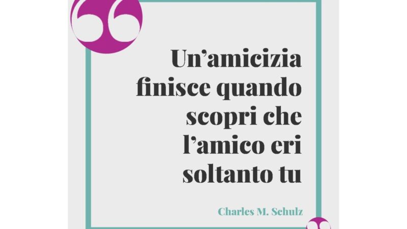 Due amici discutono animatamente in un parco.