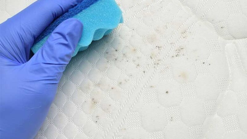 Materasso con macchie di umidità e segni di muffa visibili.