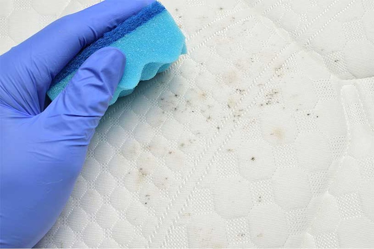 Materasso con macchie di umidità e segni di muffa visibili.