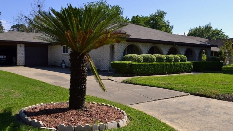 Giardino coperto di pacciamatura invernale con foglie e paglia.