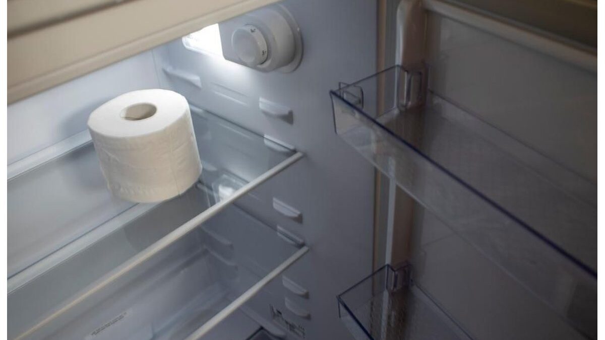 Rotolo di carta igienica posizionato su un ripiano del frigorifero.
