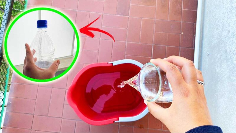 Donna pulisce un davanzale con un panno e una bottiglia di aceto caldo.