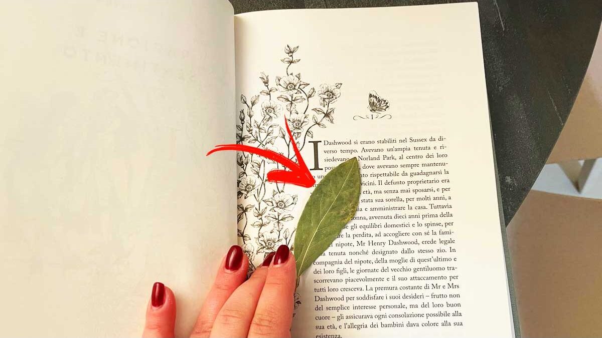 Scaffale di libri protetti da copertine trasparenti in una libreria domestica.