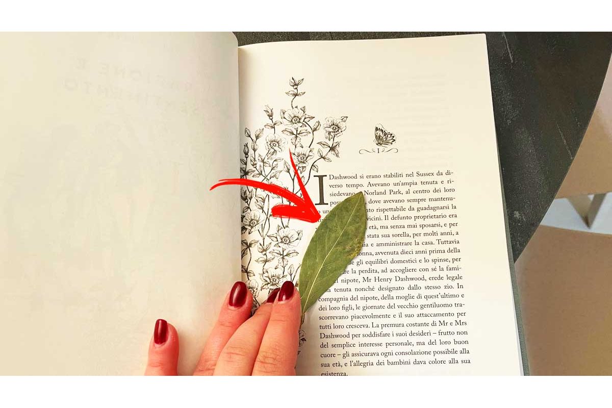 Scaffale di libri protetti da copertine trasparenti in una libreria domestica.