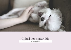 Chiusi per maternità!