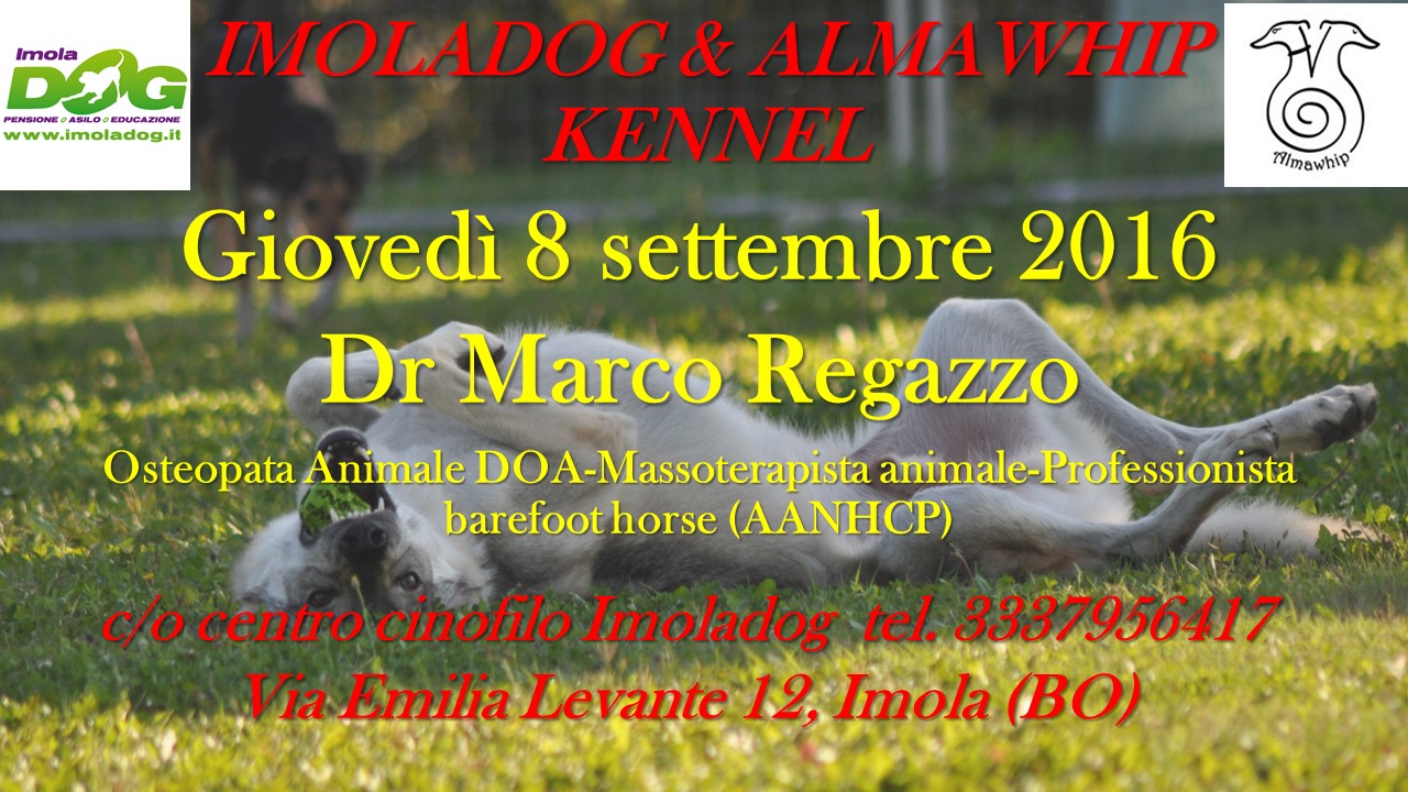 GIOVEDI 8 SETTEMBRE: Osteopatia animale con Marco Regazzo