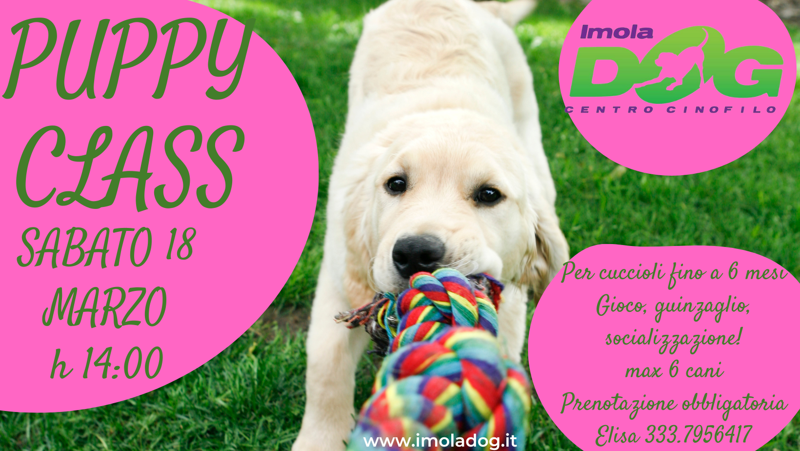 18 marzo 2023 PUPPYCLASS